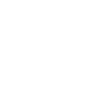 MOVEMENT STRENGTH